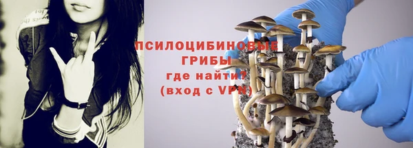 амф Видное