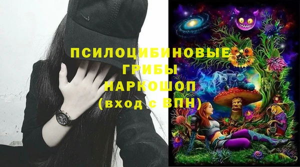 амф Видное