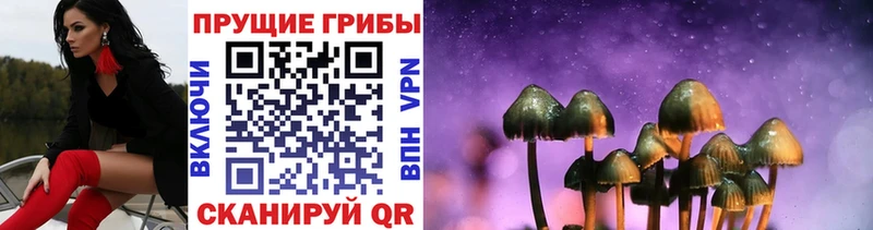 мориарти клад  дарнет шоп  Егорьевск  Галлюциногенные грибы MAGIC MUSHROOMS 